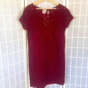 Ann Taylor Loft Lace Dress